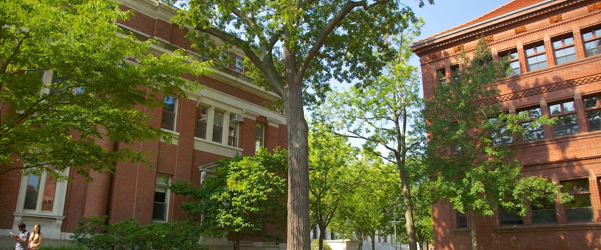 Exploring the serene campus of Harvard University on a sunny day in Cambridge, Massachusetts