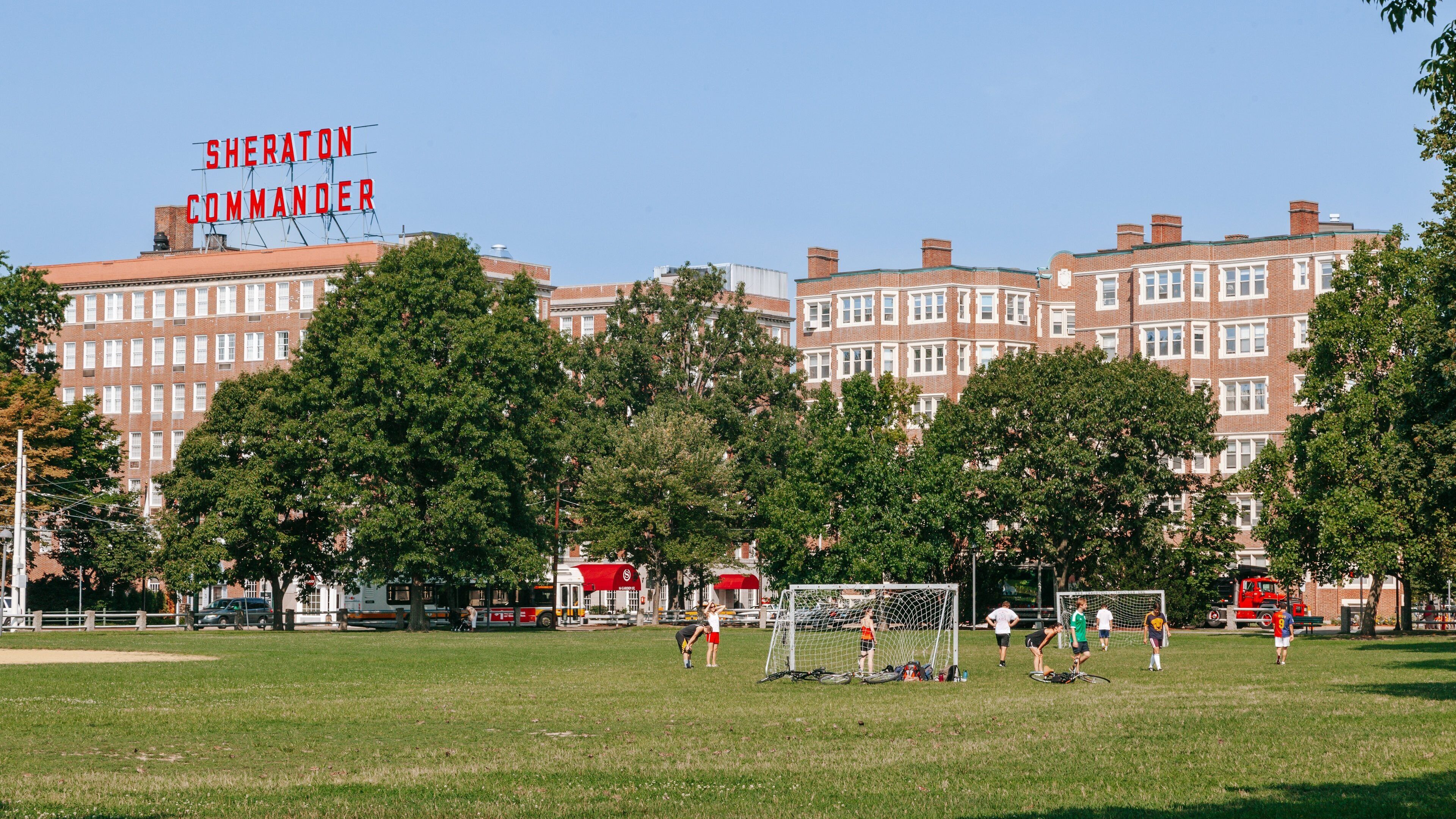 Harvard University showing a garden as well as a small group of people