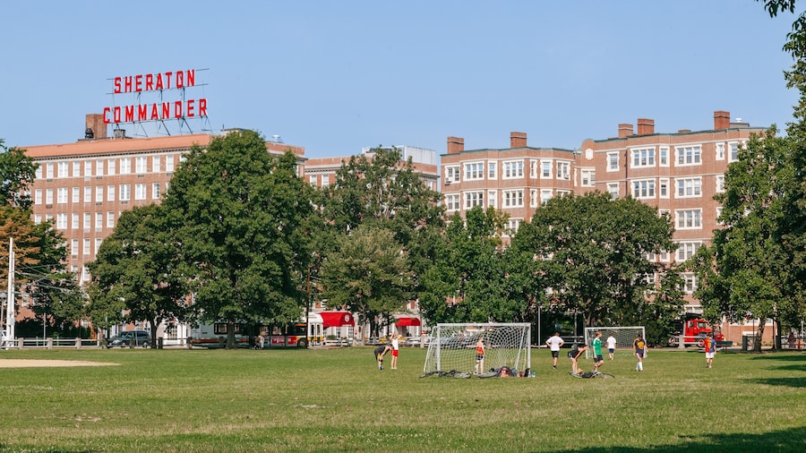 Harvard University showing a garden as well as a small group of people