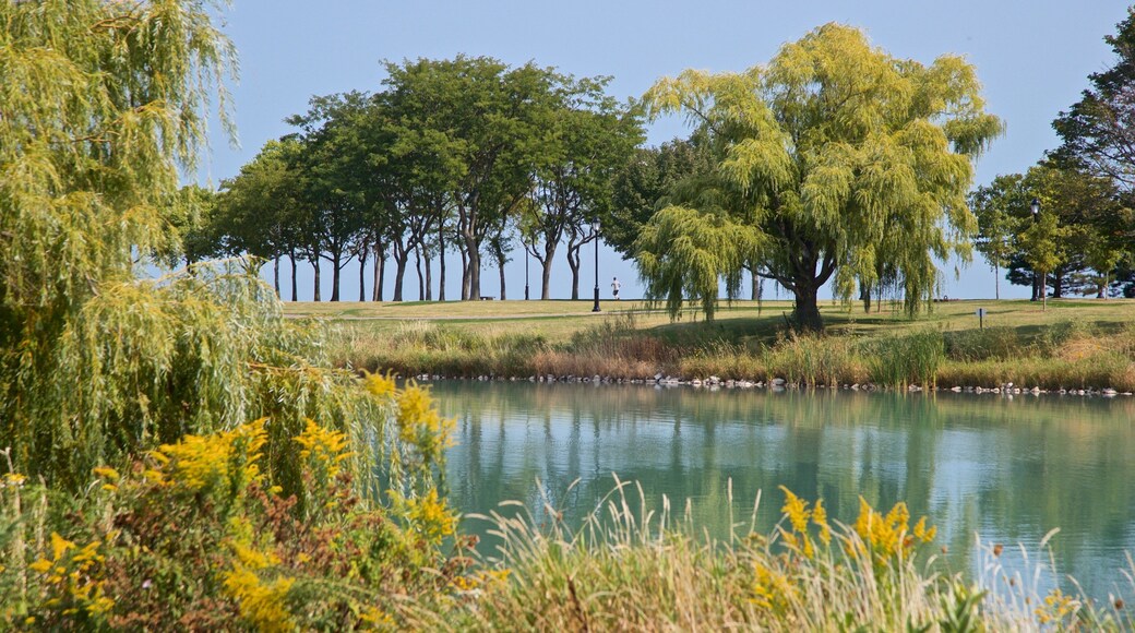 Northwestern University featuring a lake or waterhole and a park