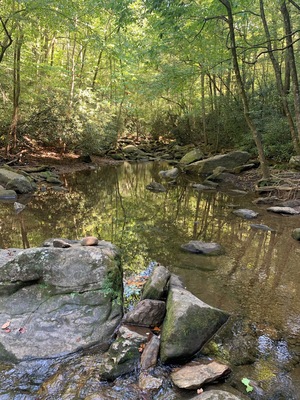 Very nice walk to Shoals falls