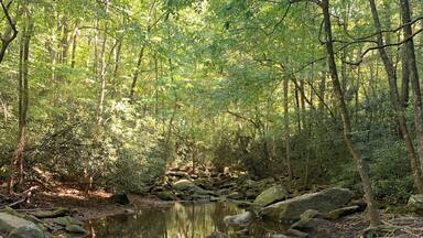 Very nice walk to Shoals falls