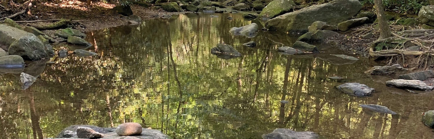 Very nice walk to Shoals falls