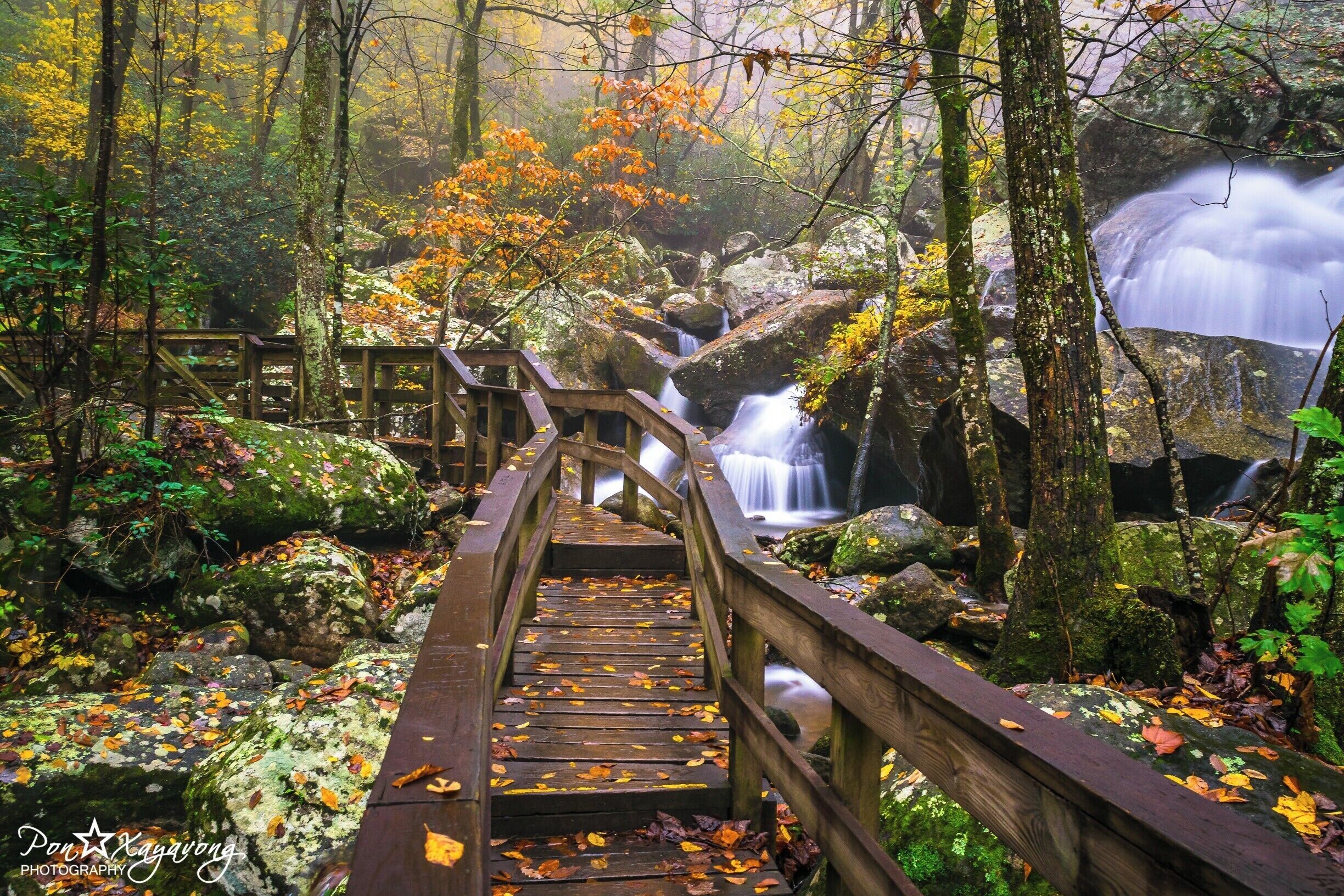 Beautiful park during the falls season. alot of Trail with nice little falls and also a 80 ft. waterfall called High Shoals falls. wear good shoes many rocks and steps.