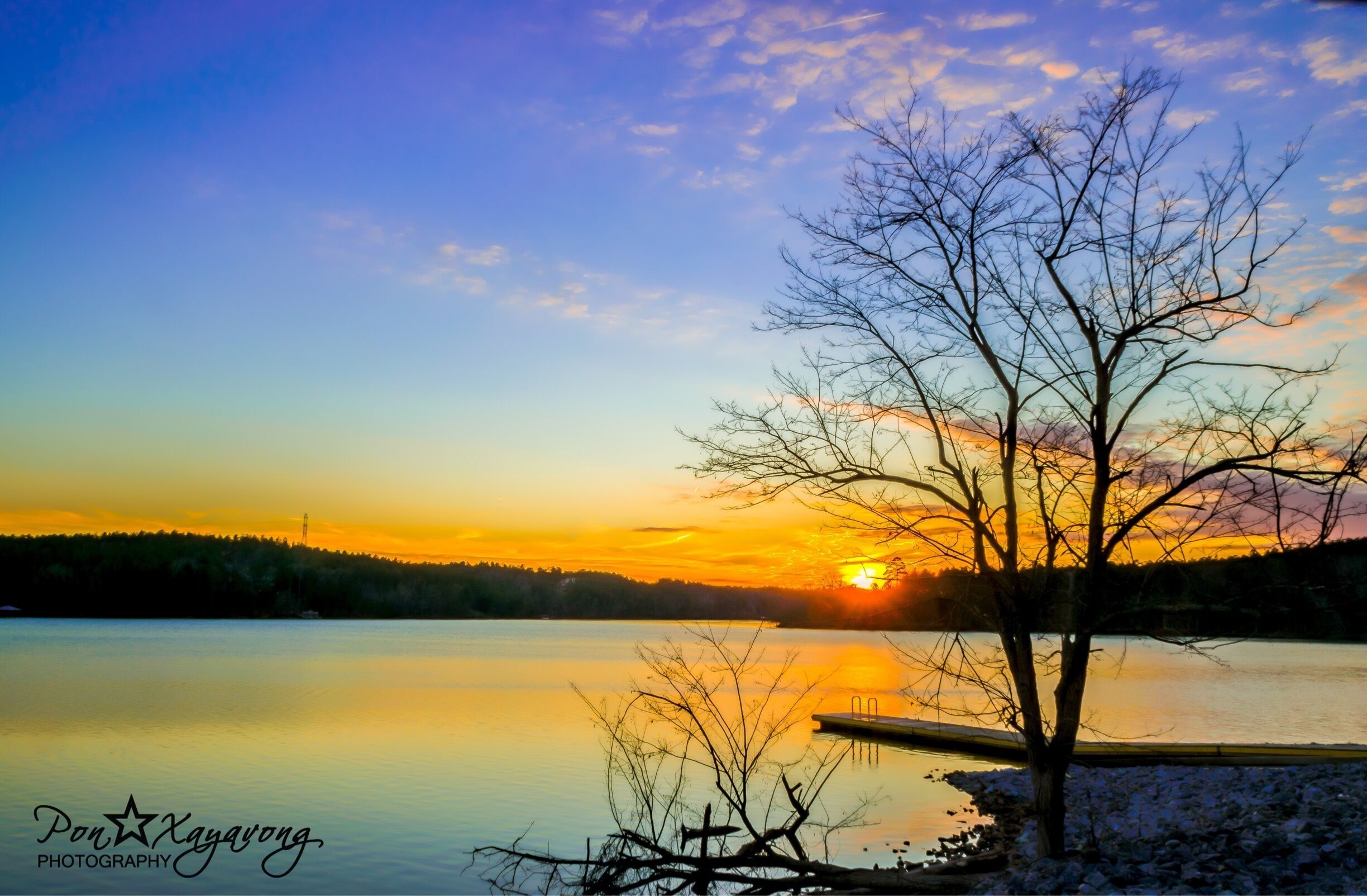 A sunset over a calm lake with a tree in the foreground and a dock on the right.