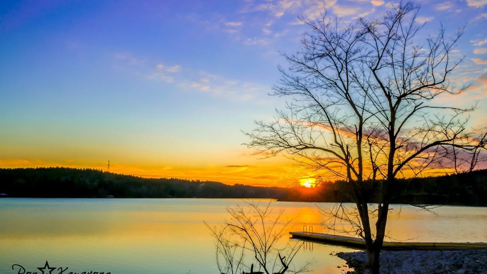 A sunset over a calm lake with a tree in the foreground and a dock on the right.