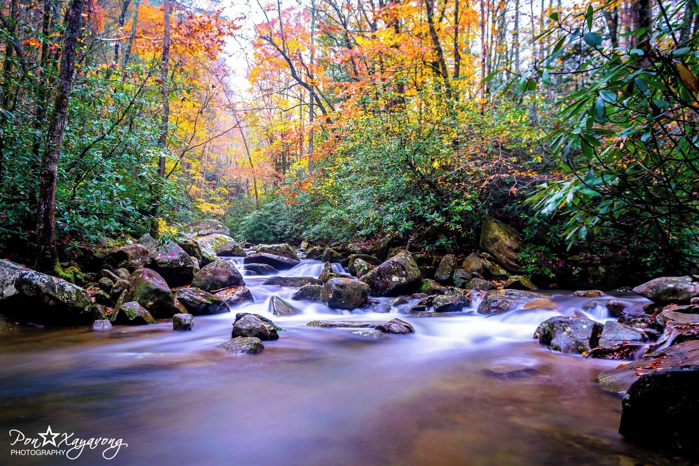 Beautiful park during the falls season. alot of Trail with nice little falls and also a 80 ft. waterfall called High Shoals falls. wear good shoes many rocks and steps.