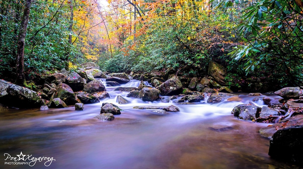 Beautiful park during the falls season. alot of Trail with nice little falls and also a 80 ft. waterfall called High Shoals falls. wear good shoes many rocks and steps.