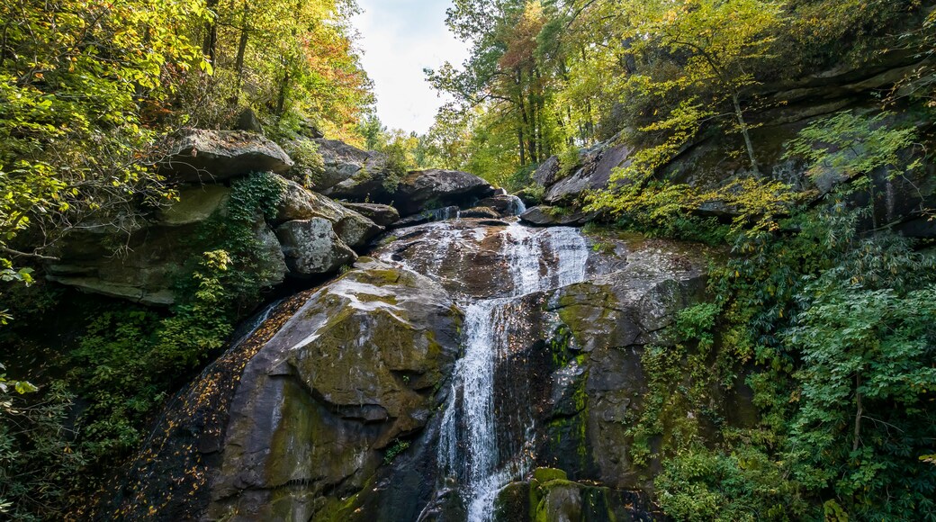 A waterfall cascading over large rocks surrounded by dense green foliage.