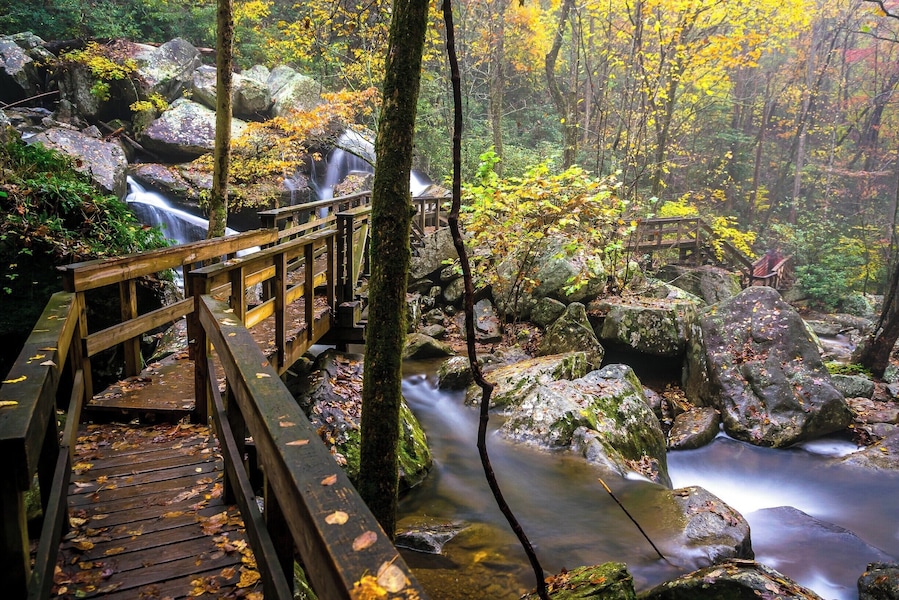 Beautiful park during the falls season. alot of Trail with nice little falls and also a 80 ft. waterfall called High Shoals falls. wear good shoes many rocks and steps.