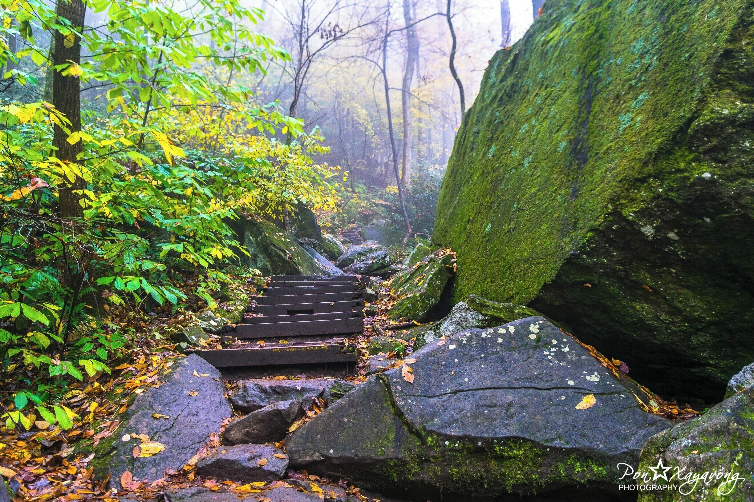 Beautiful park during the falls season. alot of Trail with nice little falls and also a 80 ft. waterfall called High Shoals falls. wear good shoes many rocks and steps.
