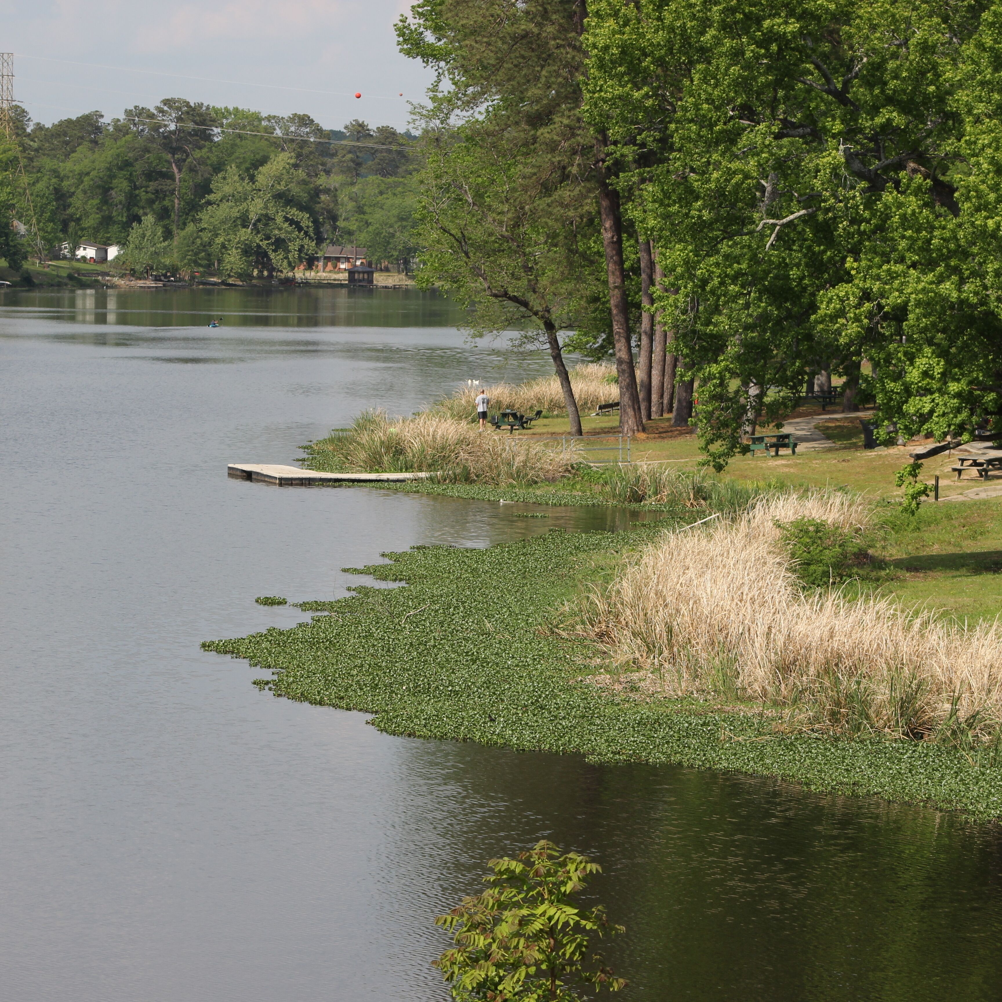 This is  Lake Olmstead Park , a beautiful little park in the heart of Augusta, GA. Several canals and bodies of water  run to the lake,  those waters eventually connect to the savannah river.  Highly recommended when in AUGUSTA.