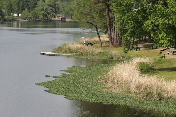 This is Lake Olmstead Park , a beautiful little park in the heart of Augusta, GA. Several canals and bodies of water run to the lake, those waters eventually connect to the savannah river. Highly recommended when in AUGUSTA.