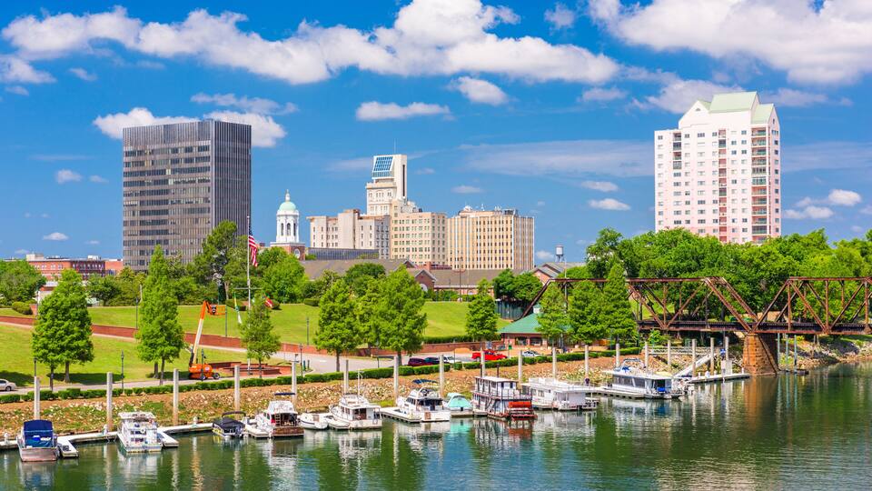 A marina with boats, a bridge, and a city skyline in the background.