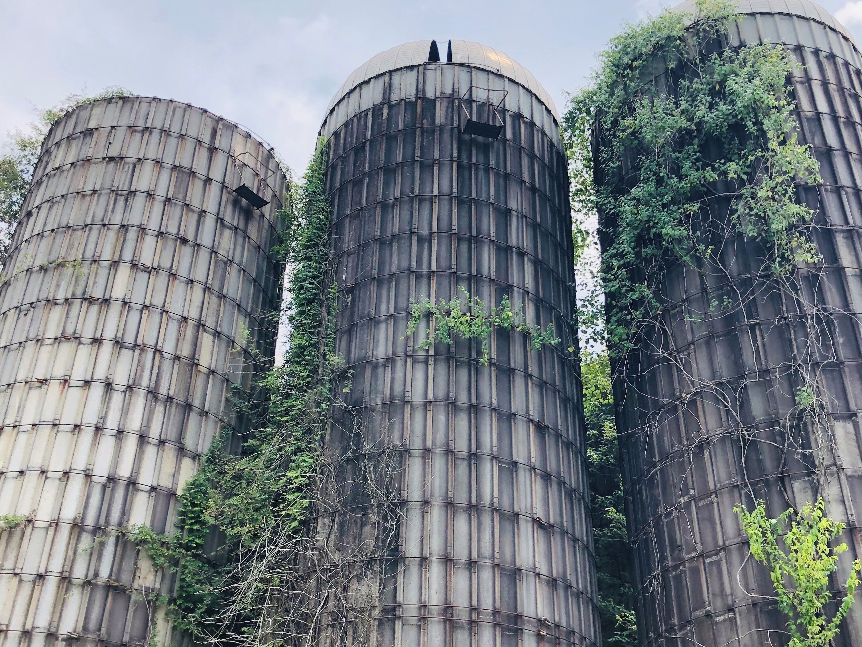 Beautiful little hike, close to home.