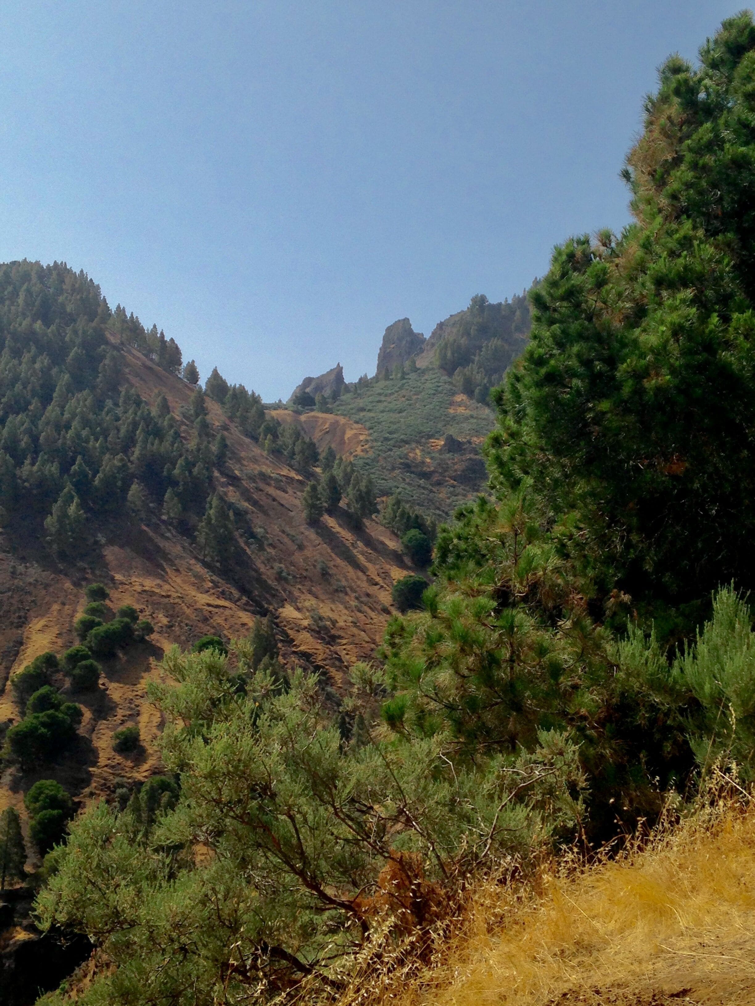 This is a photography of a Site of Community Importance in Spain with the ID: