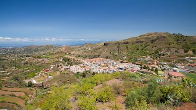 Un paese costiero con campi a terrazza, una chiesa in cima a una collina e vista sull'oceano.