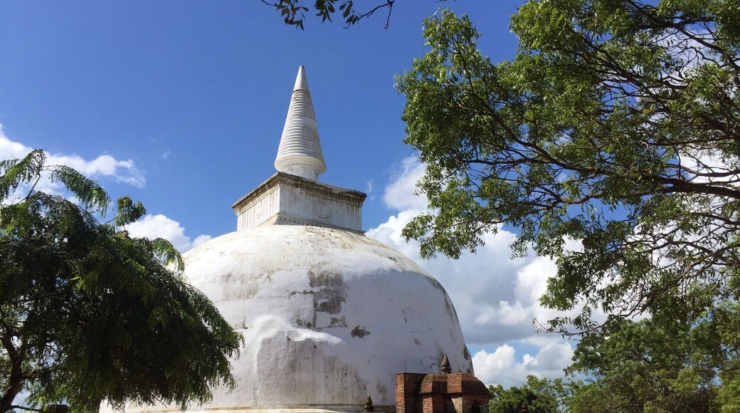 Paraboloid architecture