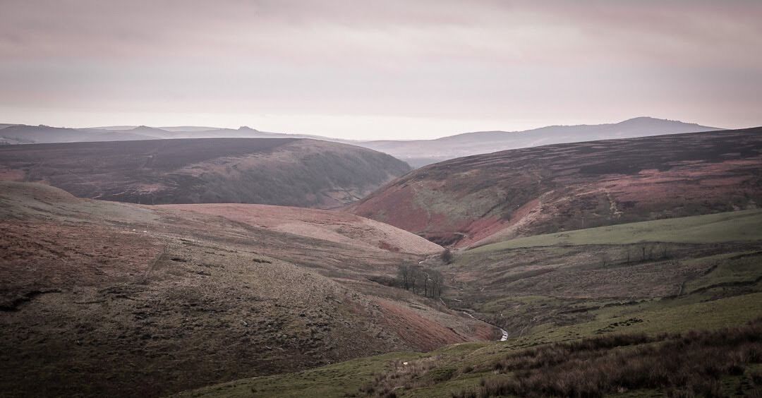 A valley with rolling hills and a narrow path.