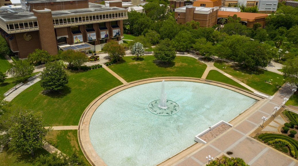 센트럴플로리다대학교