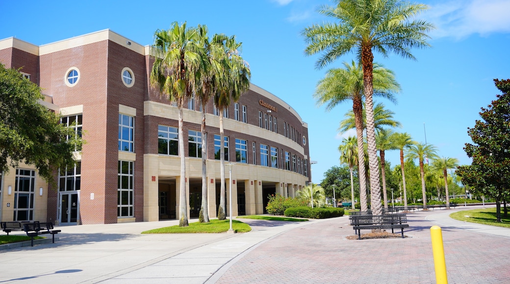 센트럴플로리다대학교