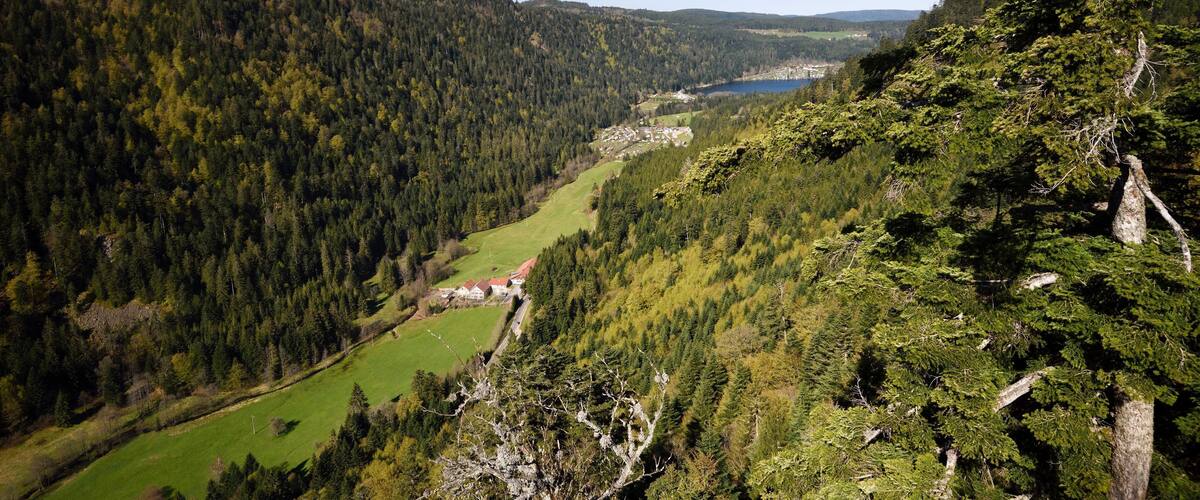 A mountainous landscape with dense forests, a small village, and a lake in the valley.