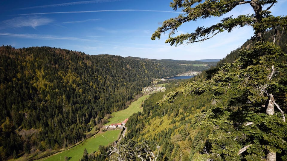 A mountainous landscape with dense forests, a valley, and a distant town.