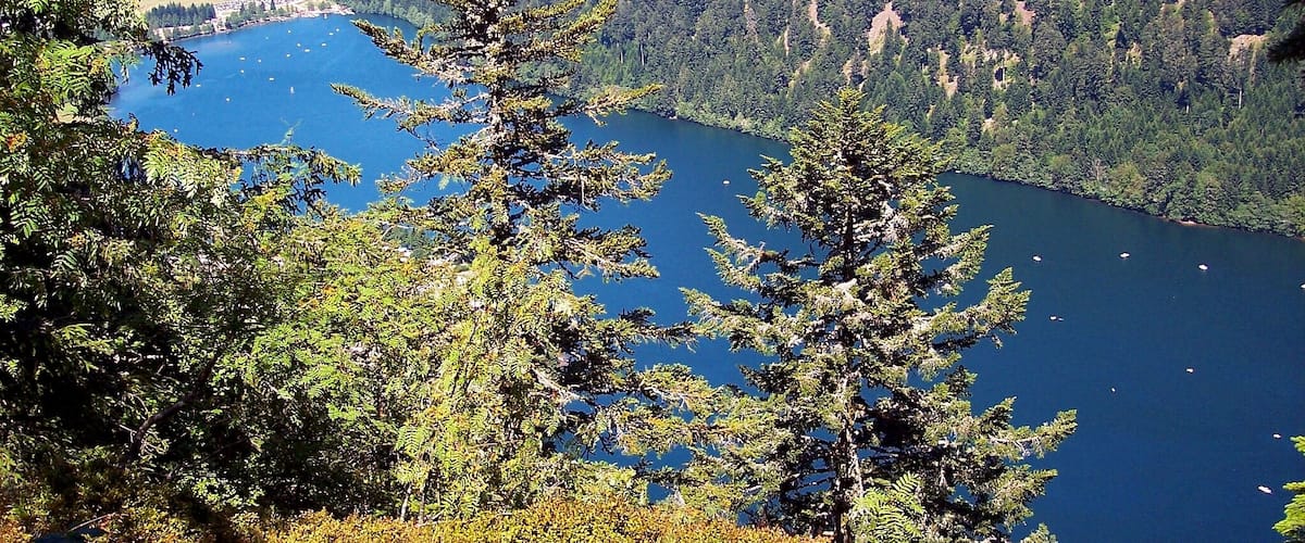Un lago rodeado de un bosque denso y montañas.