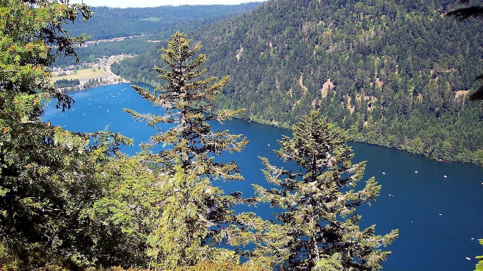 A lake surrounded by dense forest and mountains.