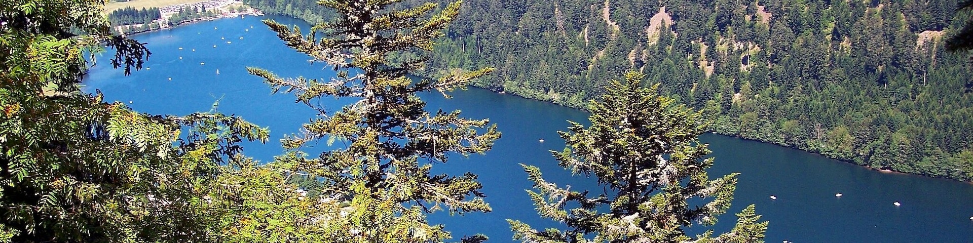 Un lago rodeado de un bosque denso y montañas.