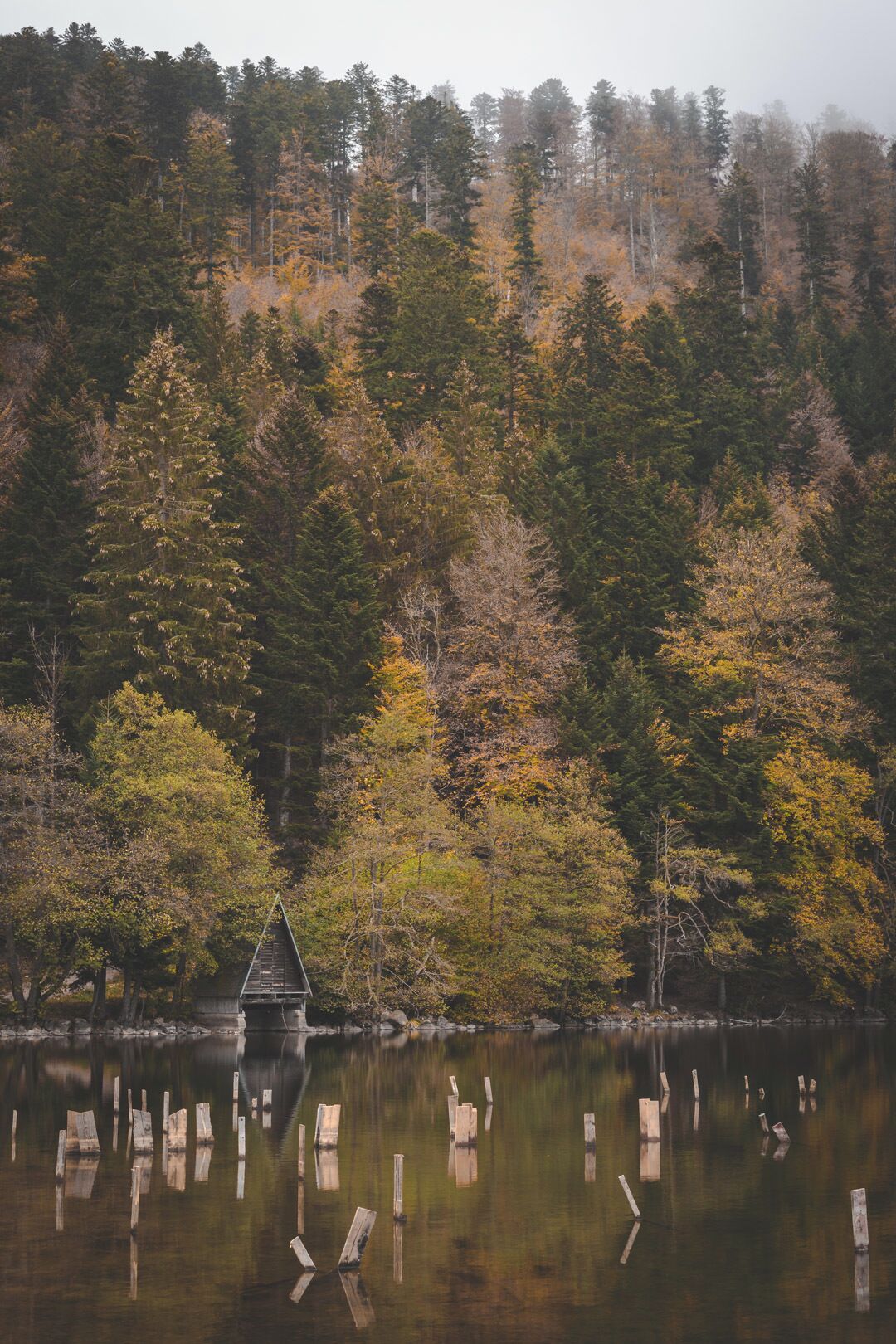 Such a lovely calm location with a lot of photo opportunities! 