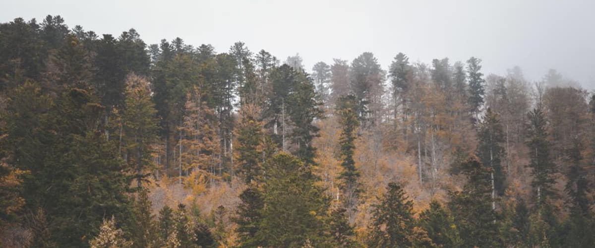 Such a lovely calm location with a lot of photo opportunities!