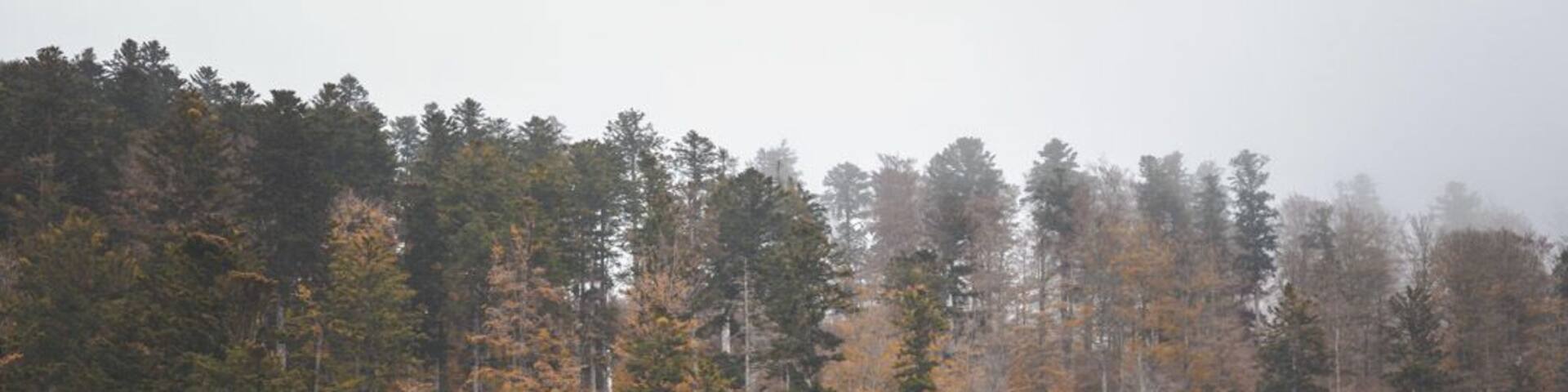 Such a lovely calm location with a lot of photo opportunities!