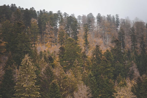 Such a lovely calm location with a lot of photo opportunities!