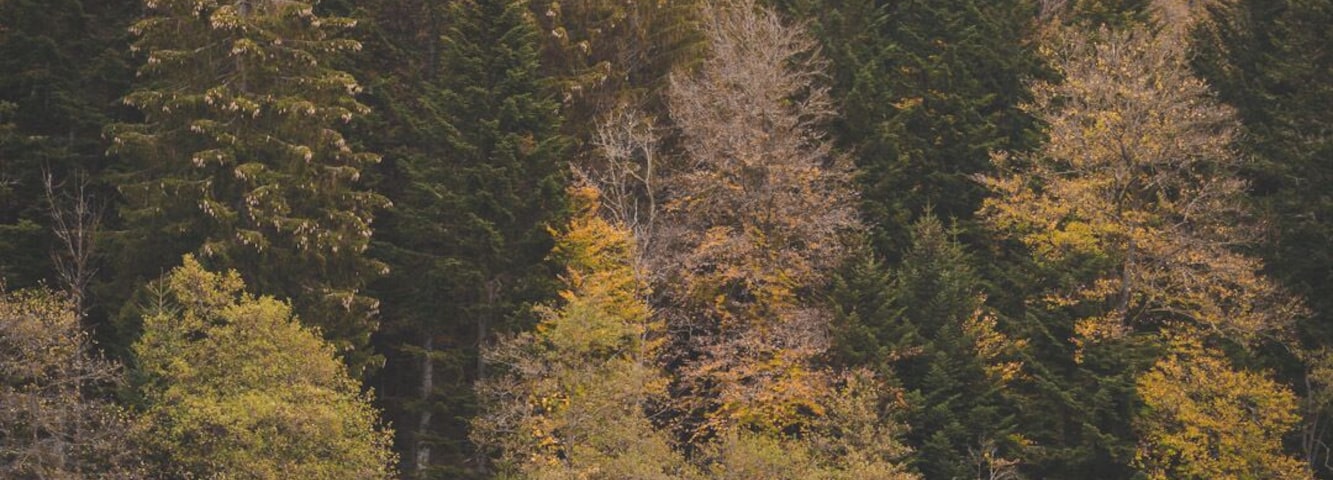 Such a lovely calm location with a lot of photo opportunities!