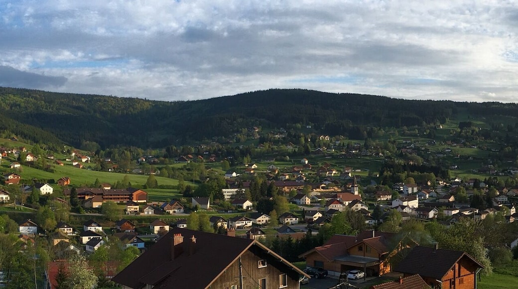 Vue générale du village de Lorraine de Xonrupt-Longemer (Vosges, France).