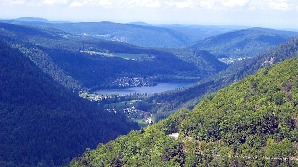 A valley with a lake surrounded by forested hills.