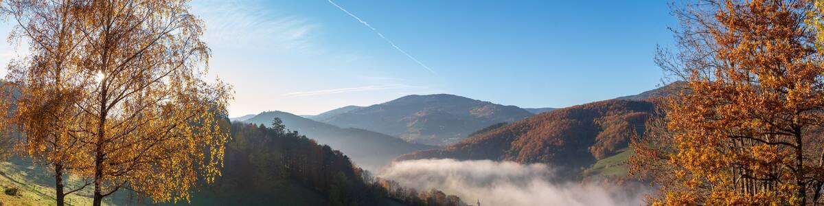 Le canton vert, Hachimette dans le brouillard d'automne
