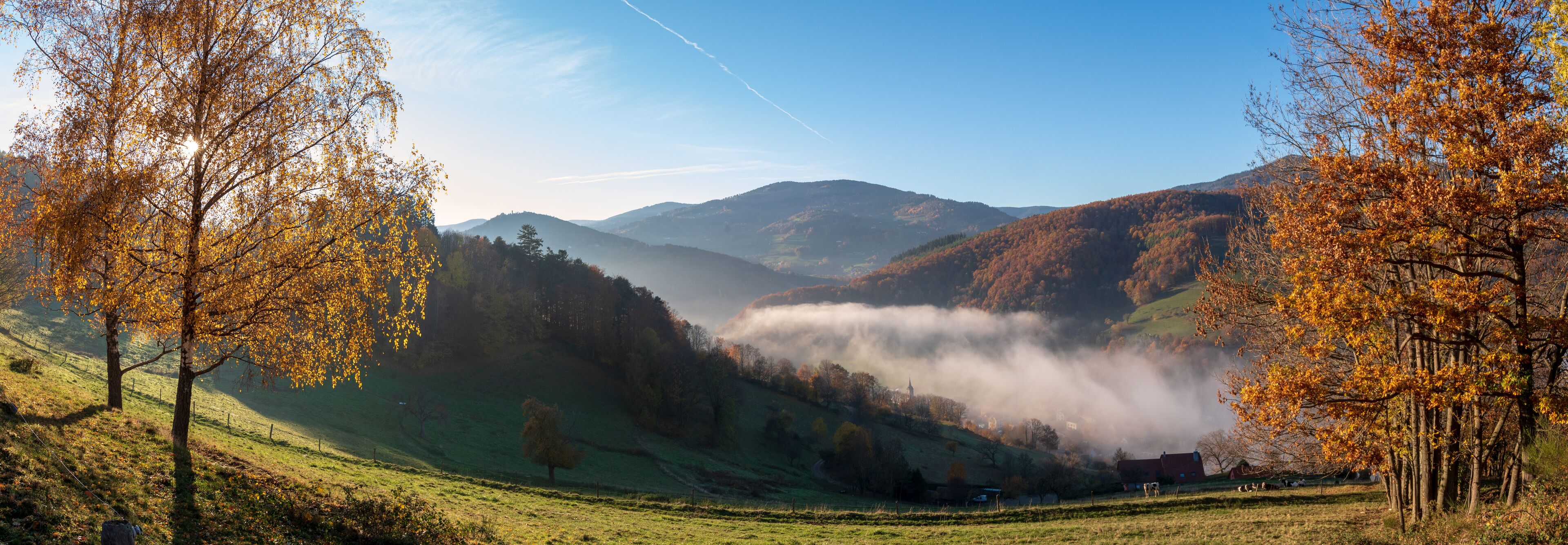 A valley with autumn foliage, a mist-covered mountain, and a small building.
