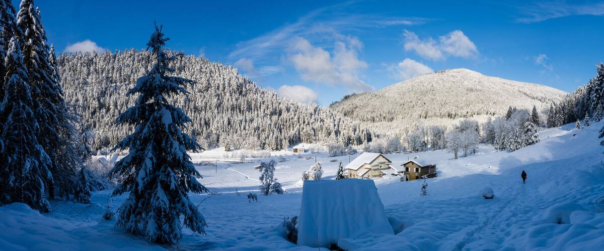 A snow-covered landscape with a house, trees, and a mountain.