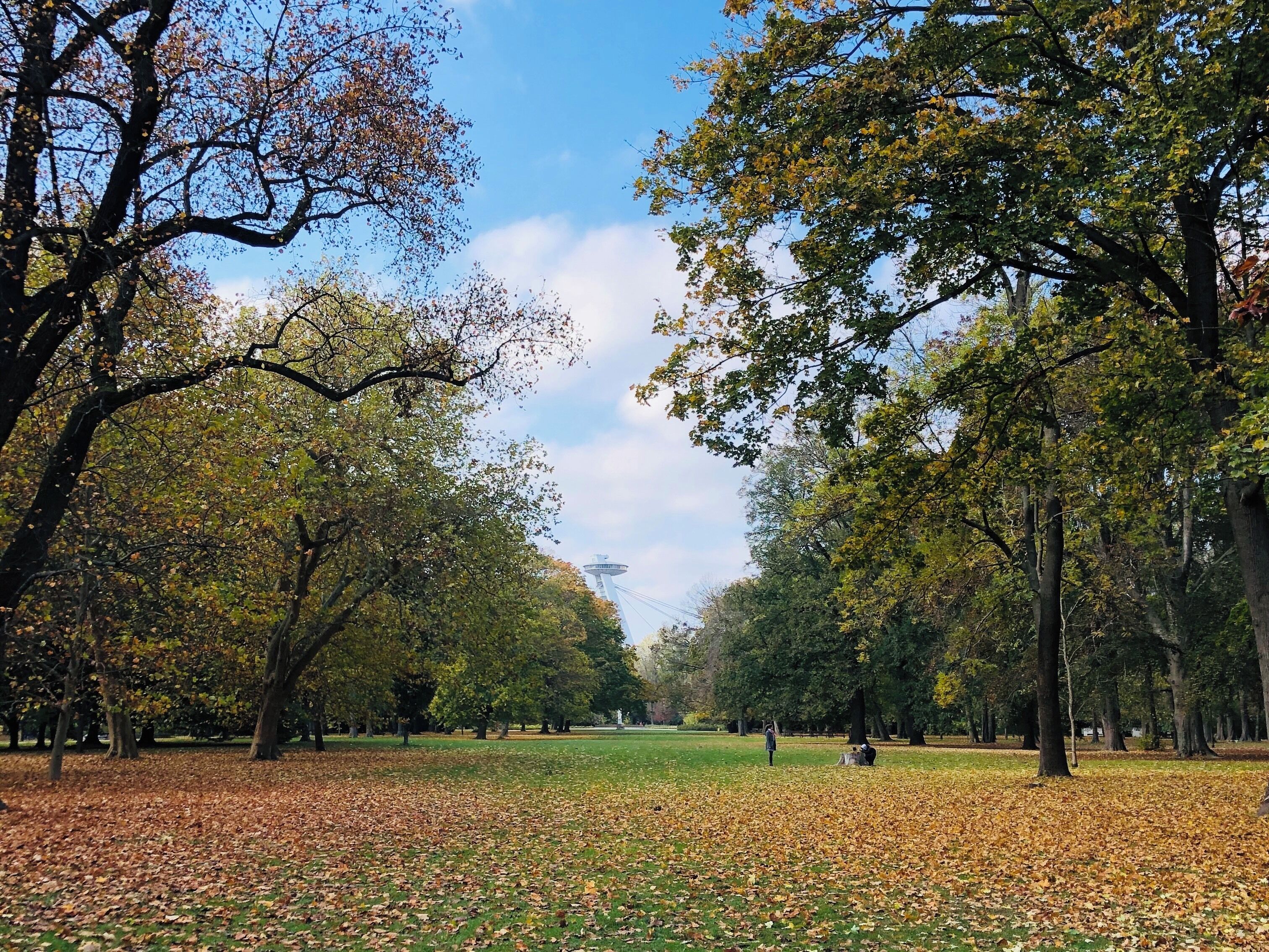 View from the tower back to the UFO observation deck. Lovely for an autumn walk and play in the leaves 🧡