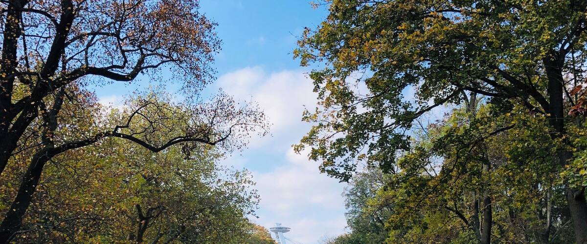 View from the tower back to the UFO observation deck. Lovely for an autumn walk and play in the leaves 🧡