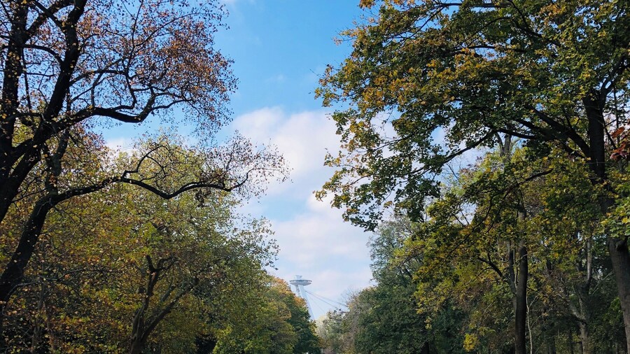 View from the tower back to the UFO observation deck. Lovely for an autumn walk and play in the leaves 🧡