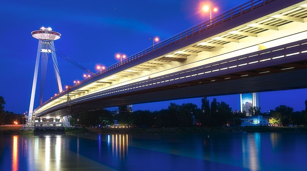 There it is. The UFO on the bridge. 6 Euros gets you up for a cool view of the city.
http://www.alwayswanderlust.com/a-day-in-bratislava-the-beauty-on-the-danube/
