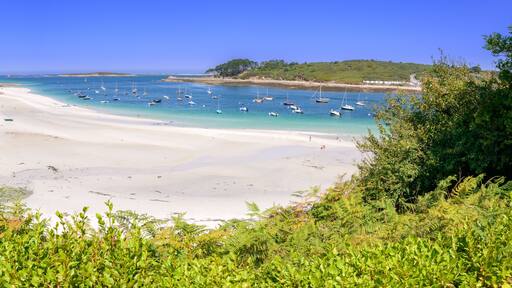 Photo panoramique de la Plage de Béniguet à côté de l'Aber Benoît à marée basse durant une journée estivale - Saint-Pabu (Finistère) en Bretagne