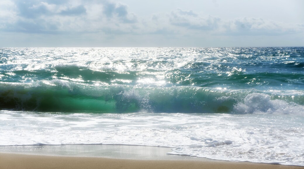 Waves on the Gironde west coas. Hourtin beach