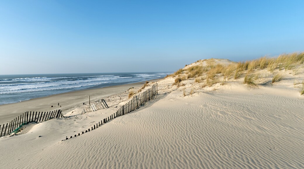 plage d'Hourtin sur le littoral de Gironde