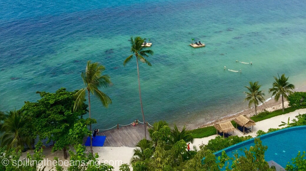 50 shades of #blue 💙
How stunning is this view?
#kohsamui #thailand #bestof5