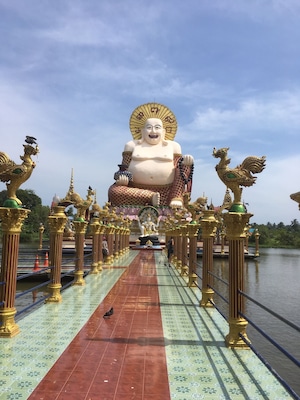 Laughing Buddha in the sunshine ☀️