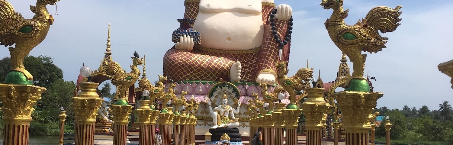 Laughing Buddha in the sunshine ☀️